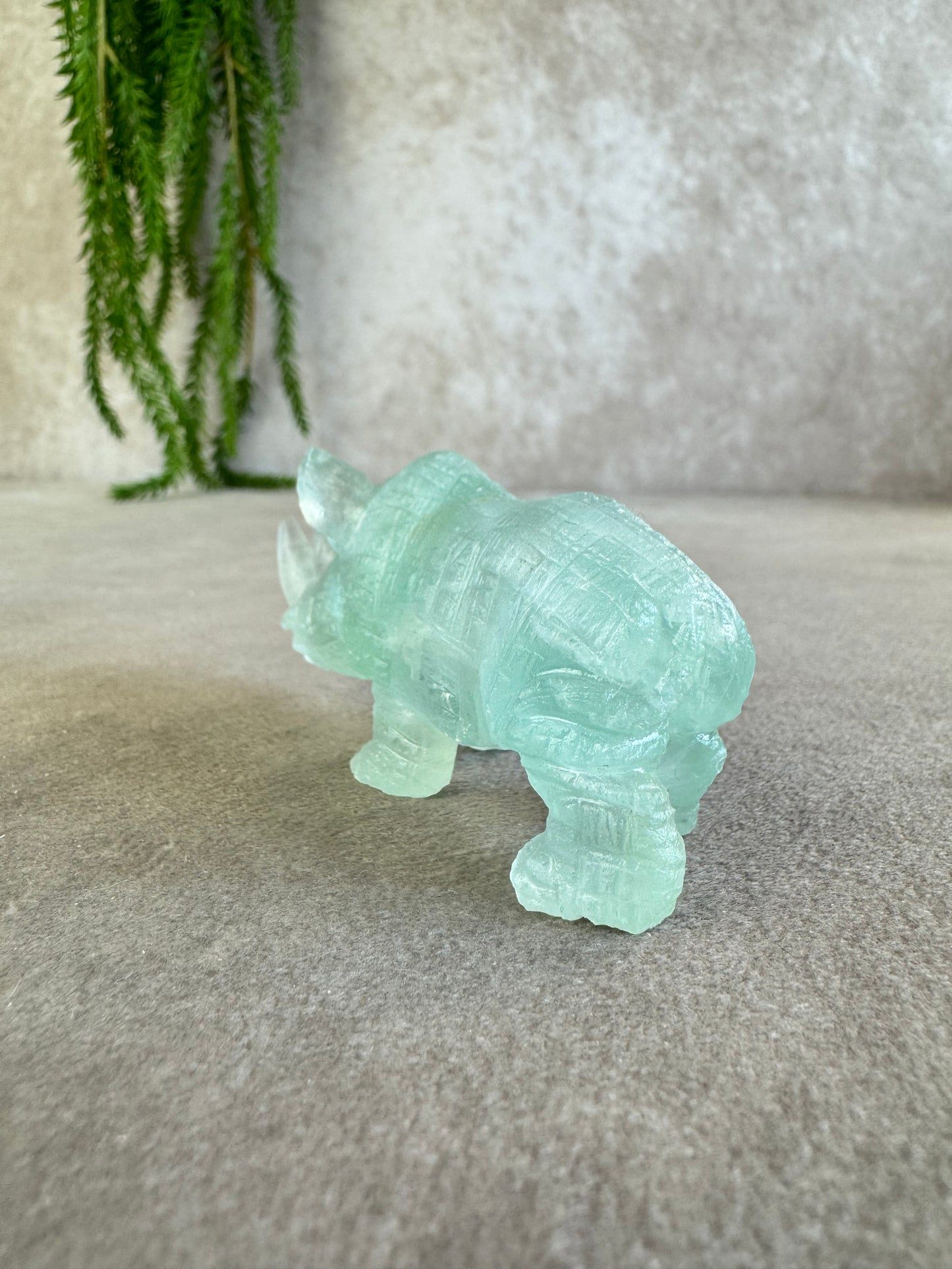 Neushoorn turquoise