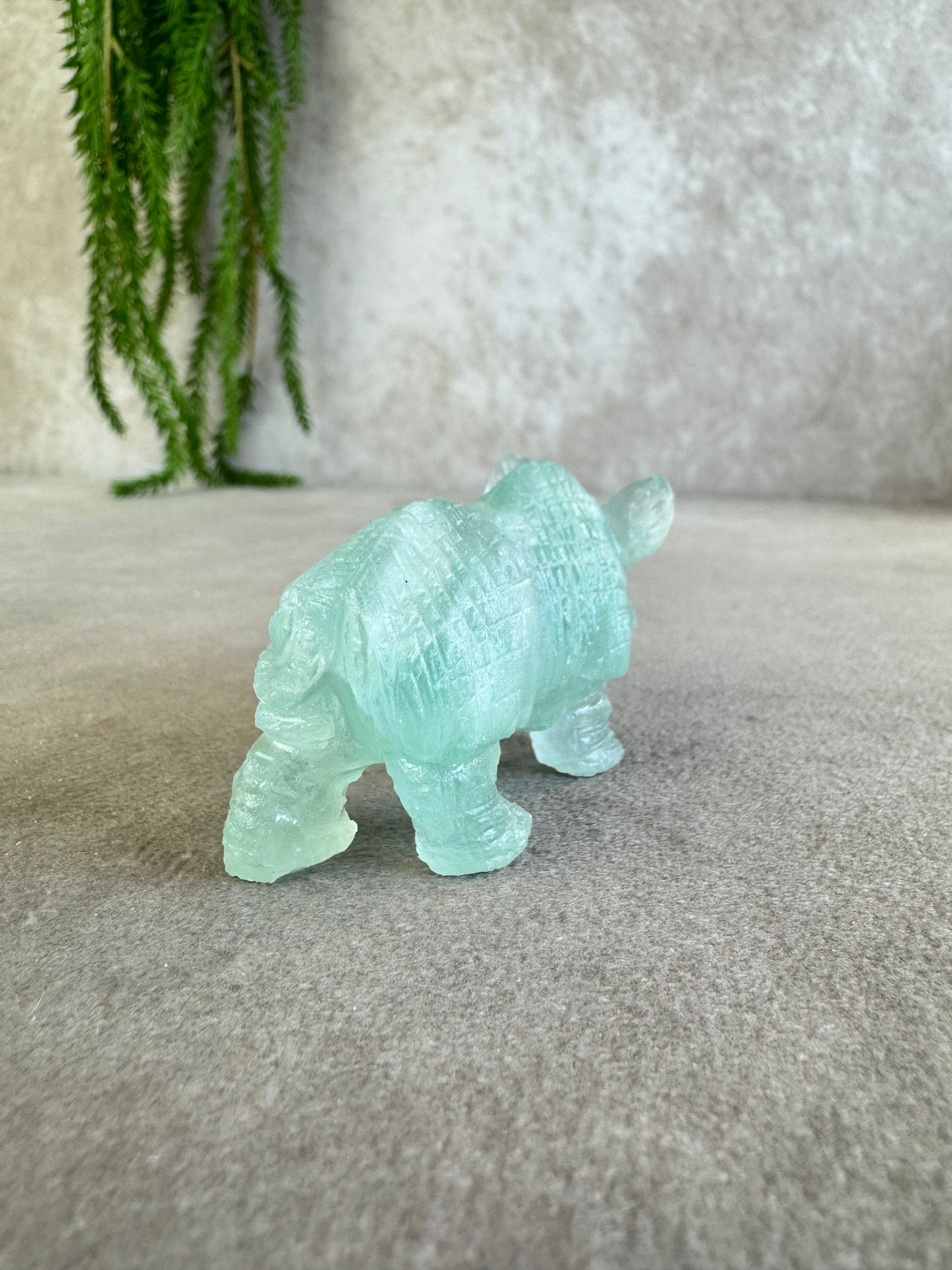 Neushoorn turquoise