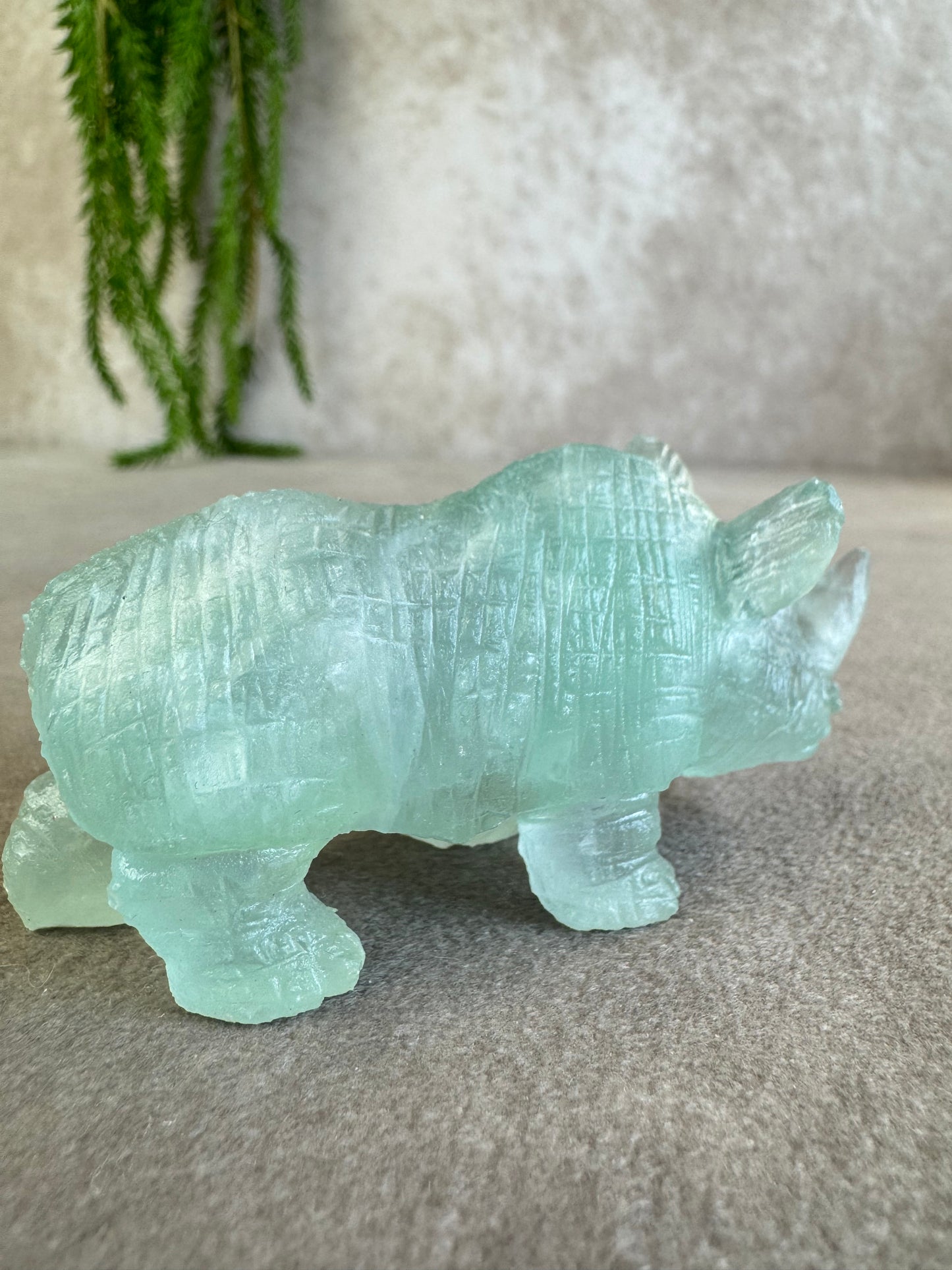 Neushoorn turquoise