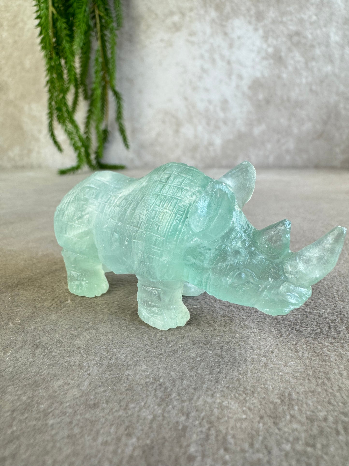 Neushoorn turquoise