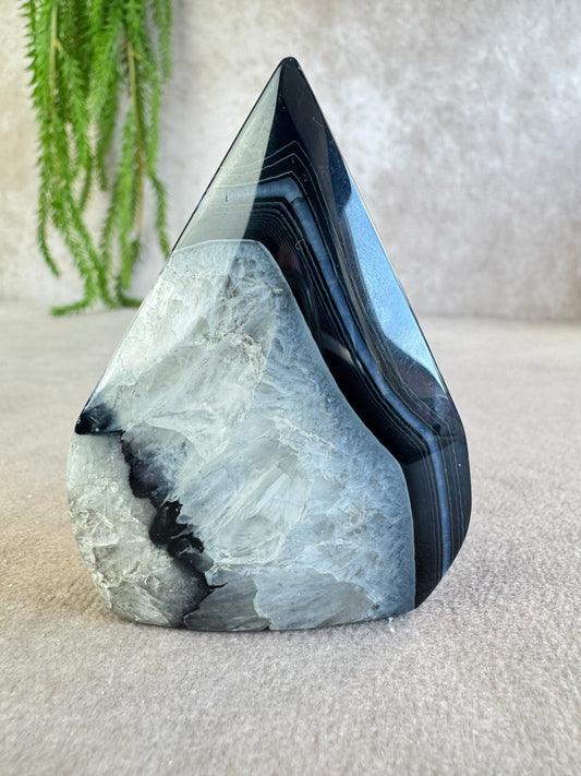 black sardonyx vlam #10