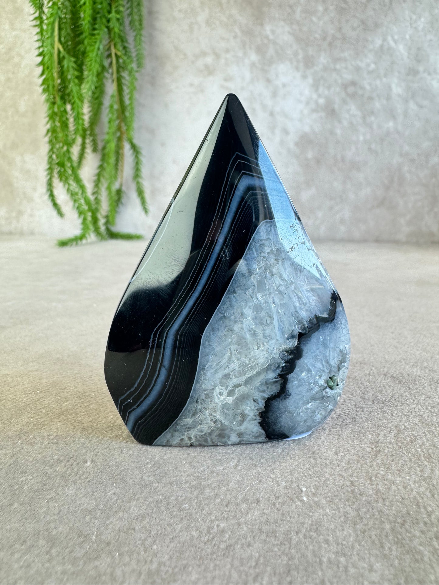 black sardonyx vlam #10