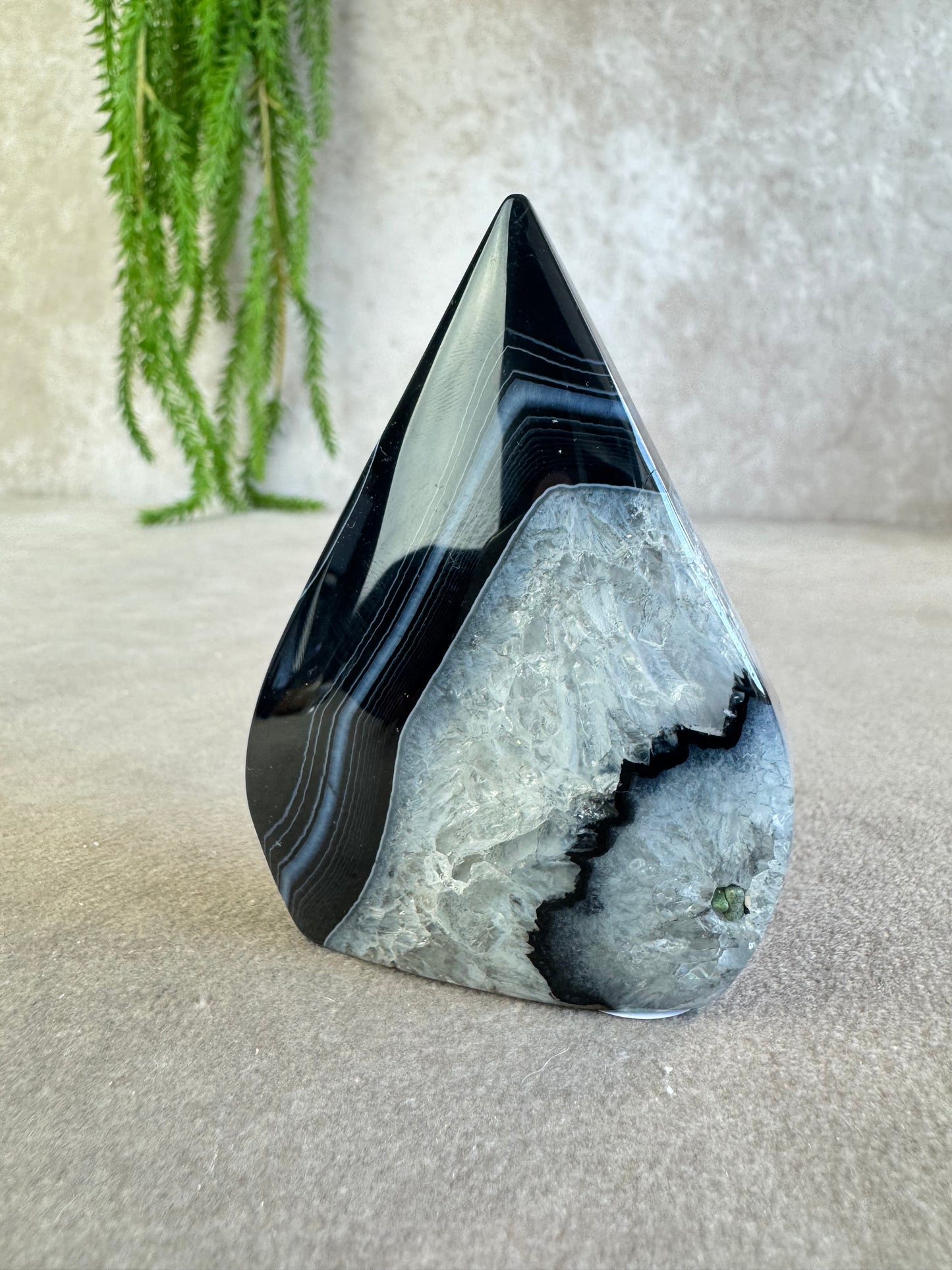 black sardonyx vlam #10