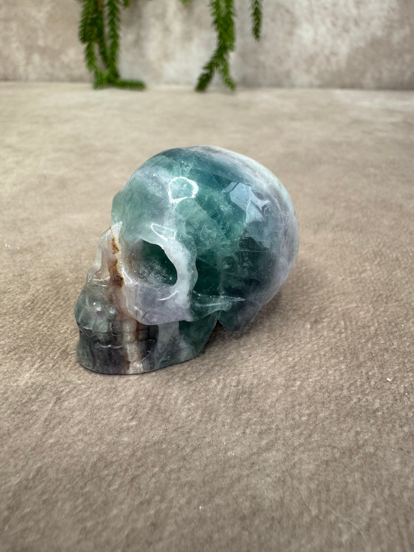 Scull #2