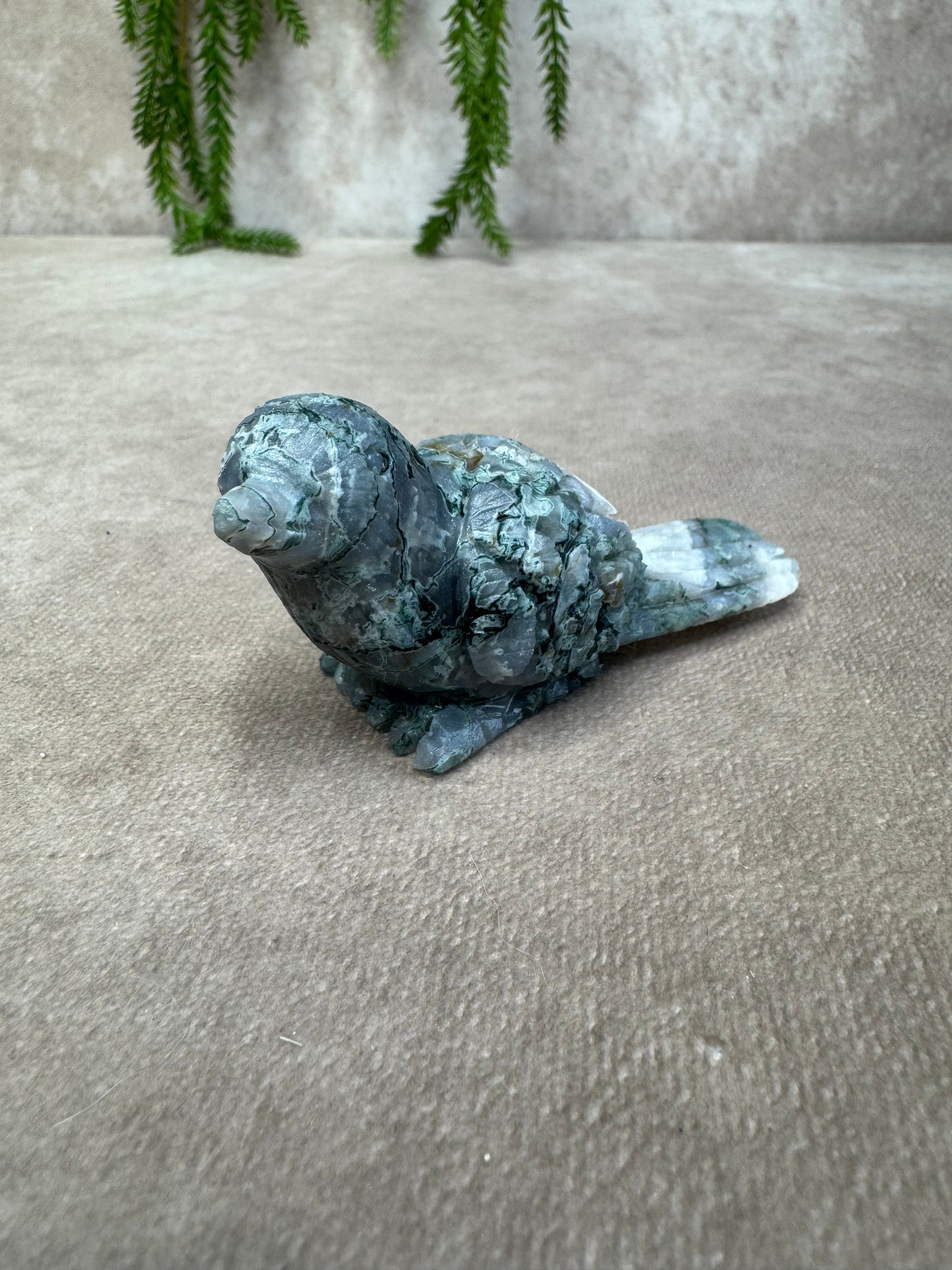 Mosagaat vogel