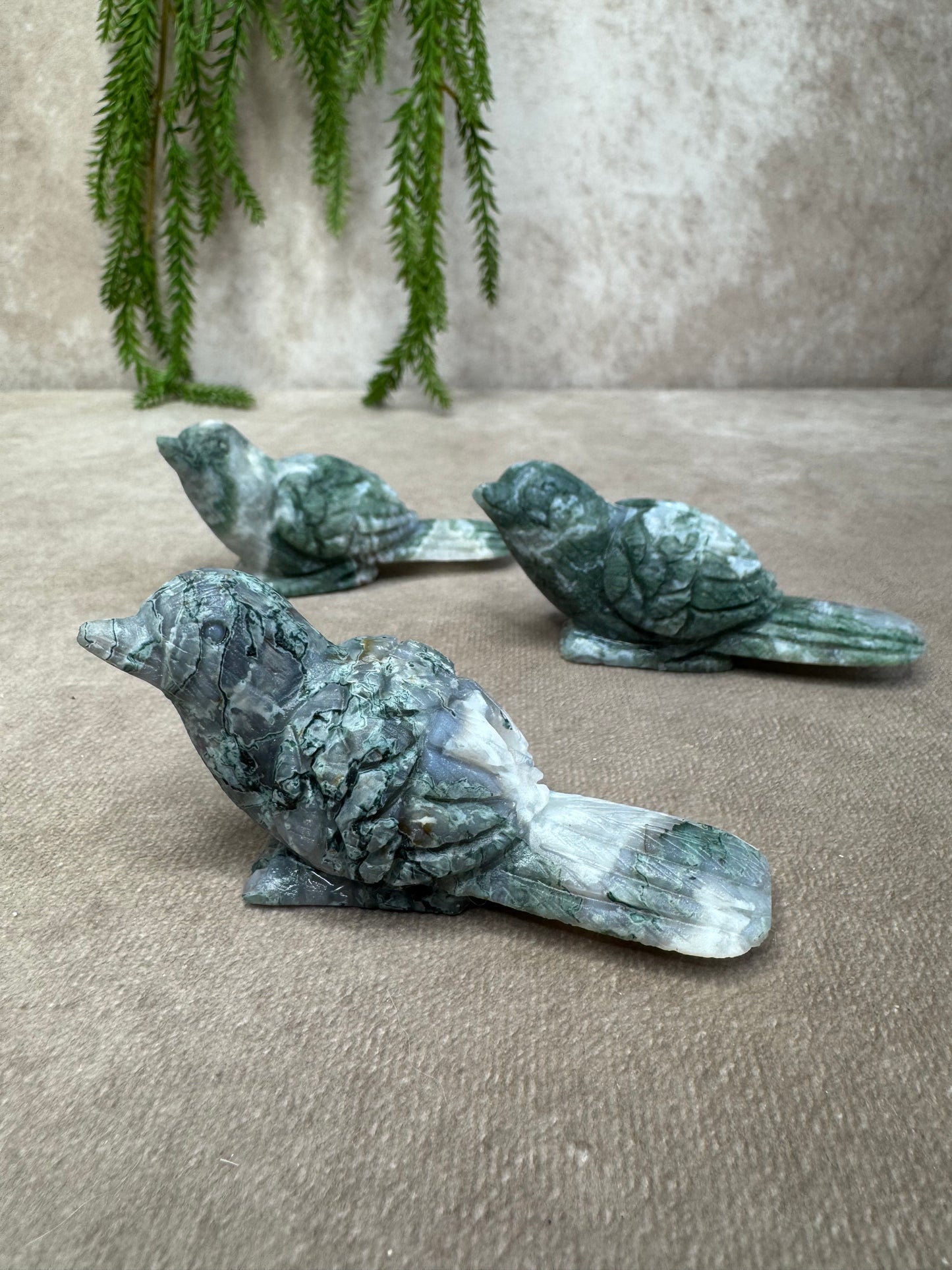 Mosagaat vogel