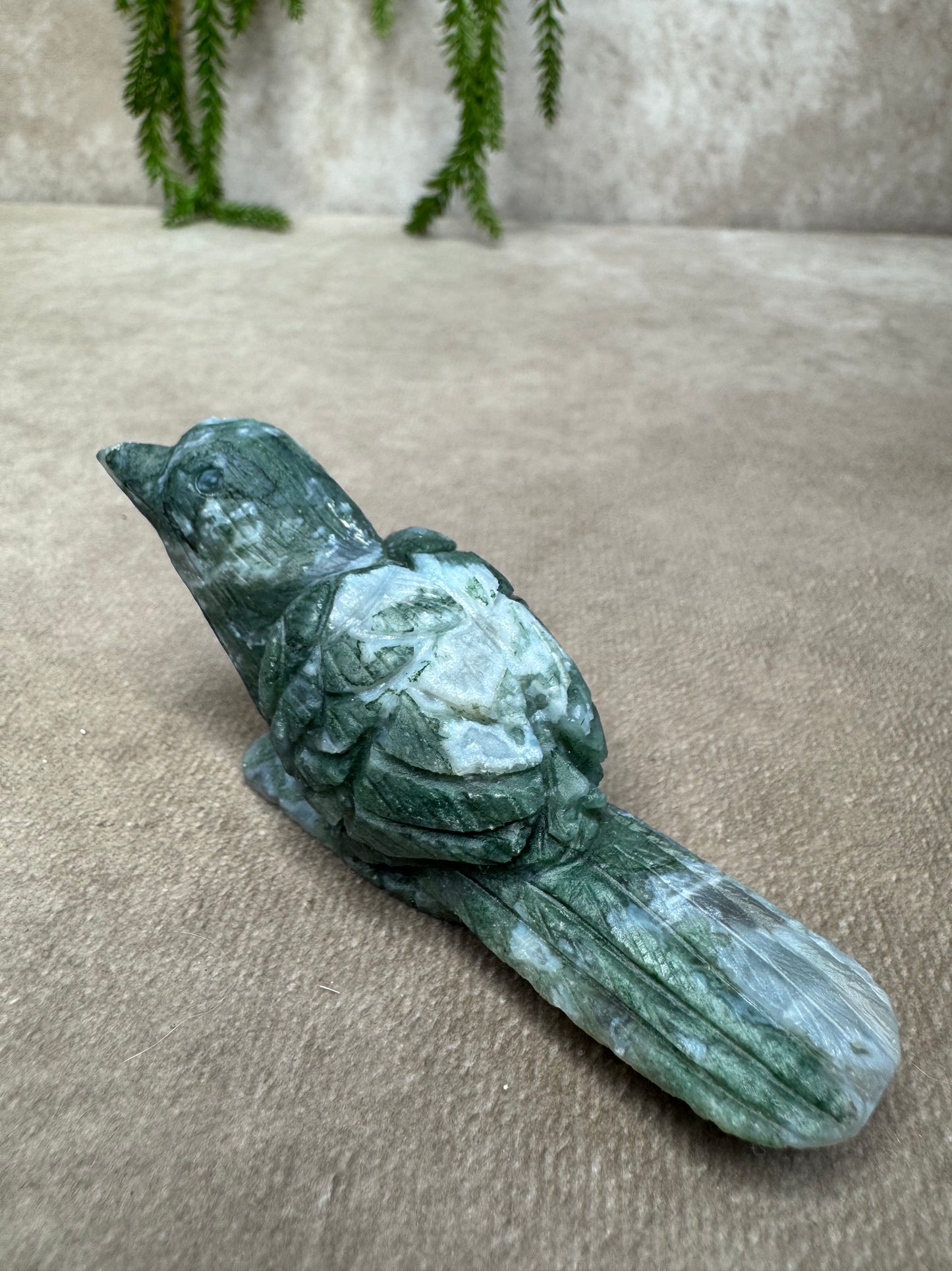 Mosagaat vogel