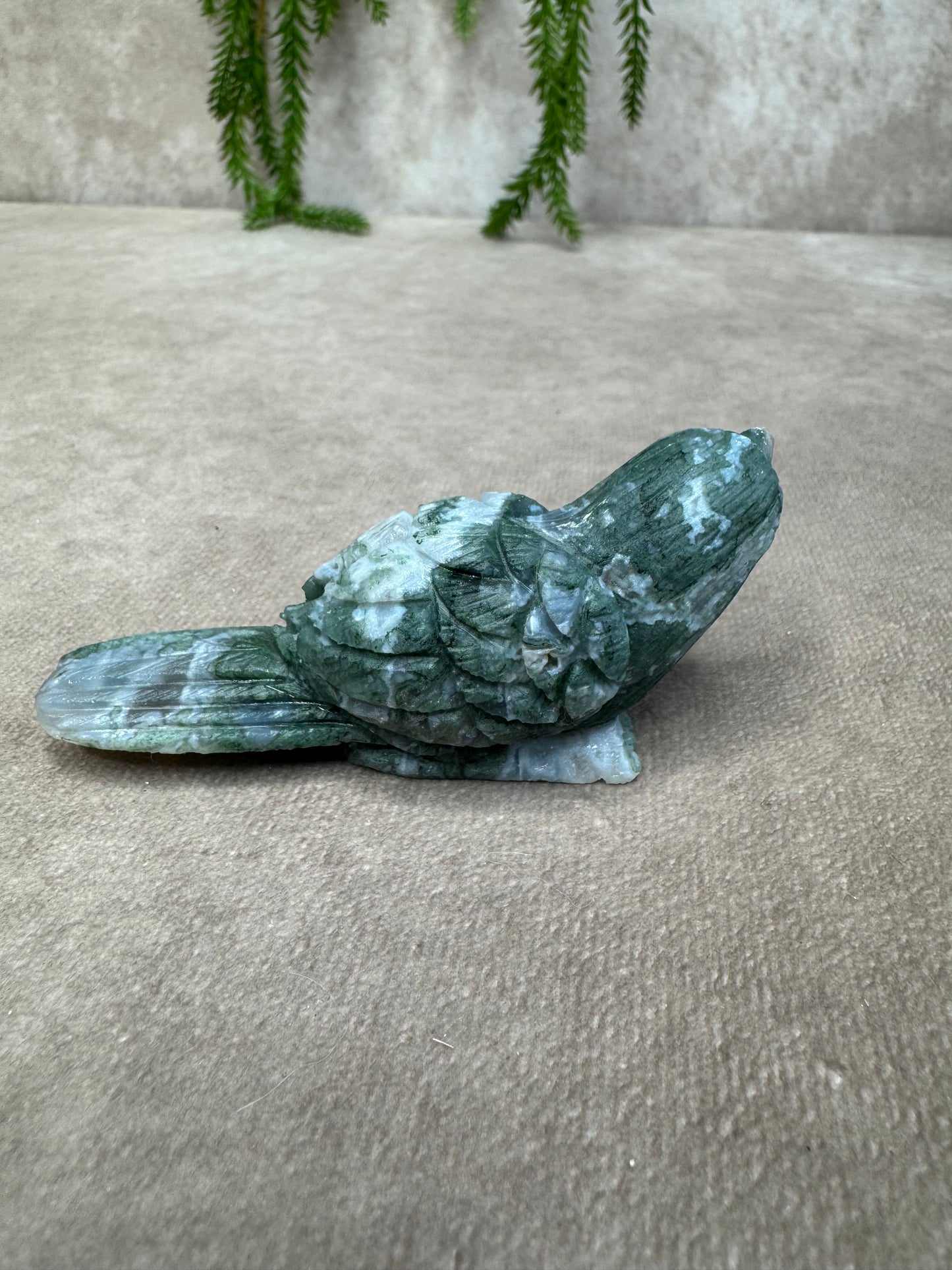 Mosagaat vogel
