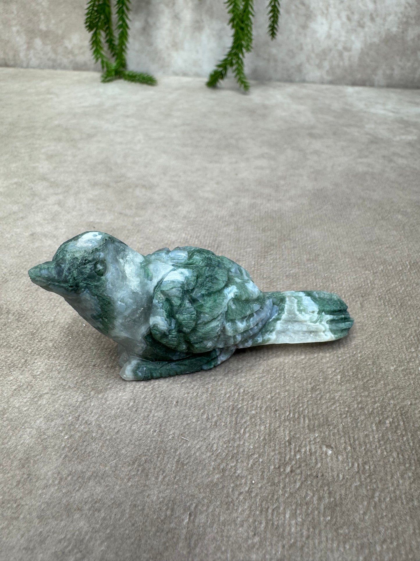 Mosagaat vogel
