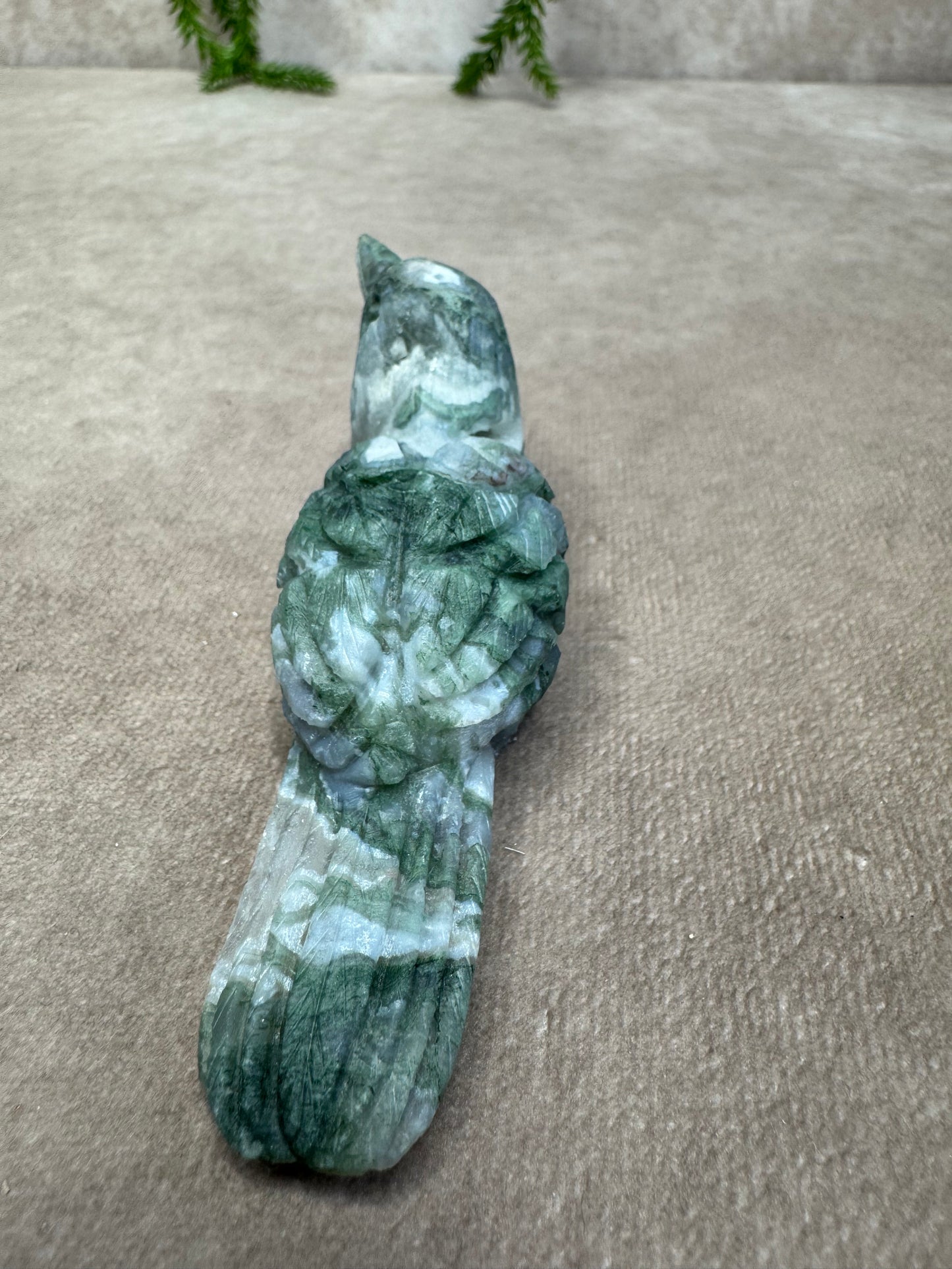 Mosagaat vogel