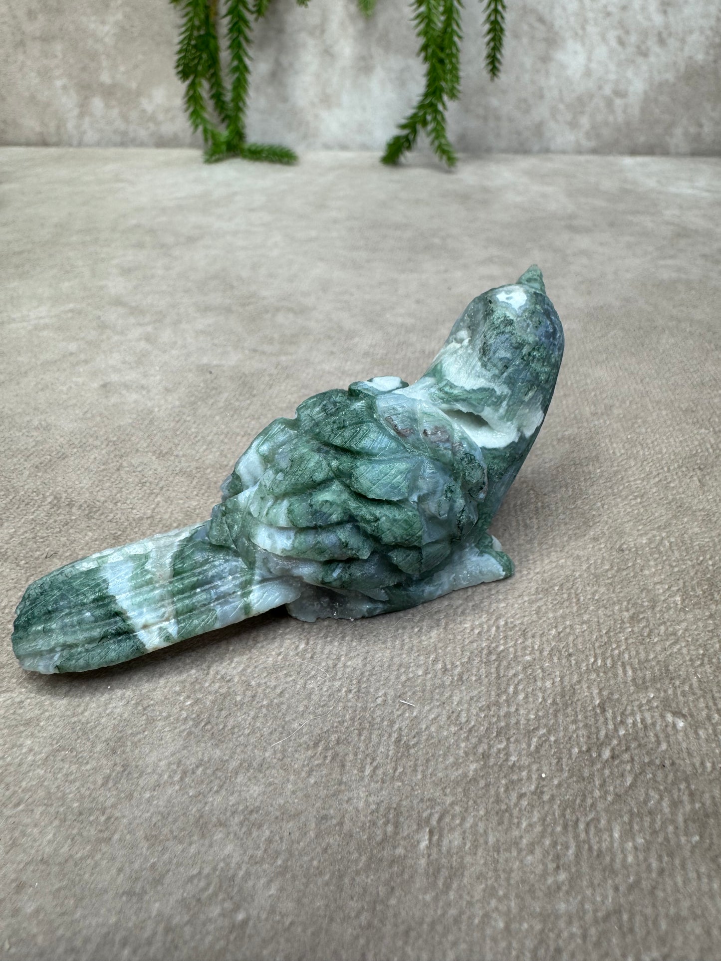 Mosagaat vogel