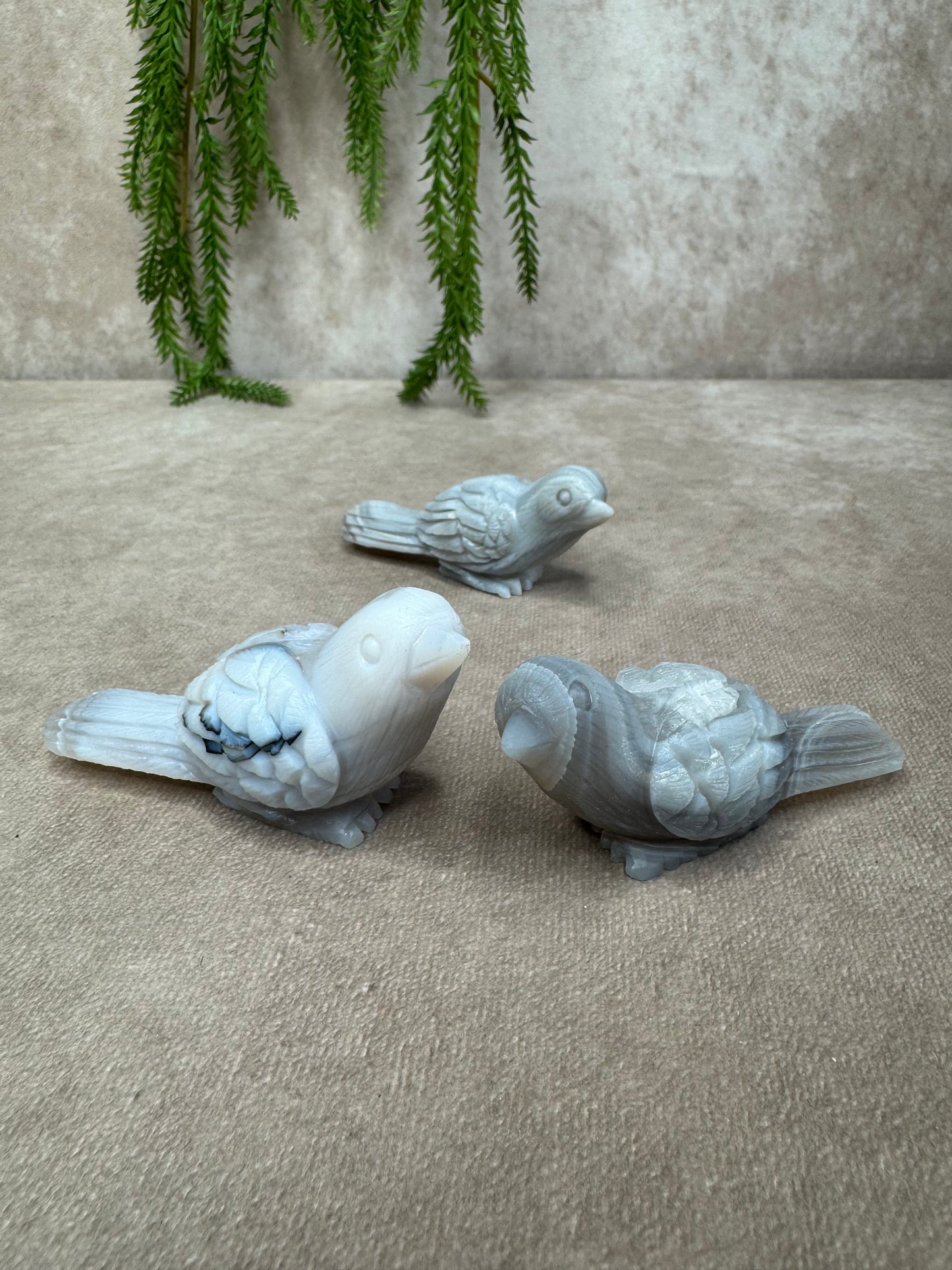 Agaat vogel