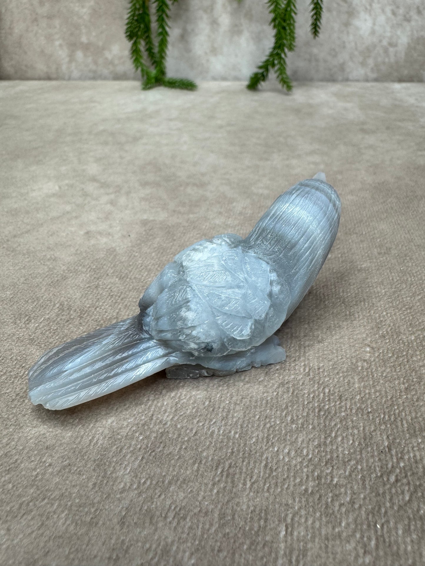Agaat vogel