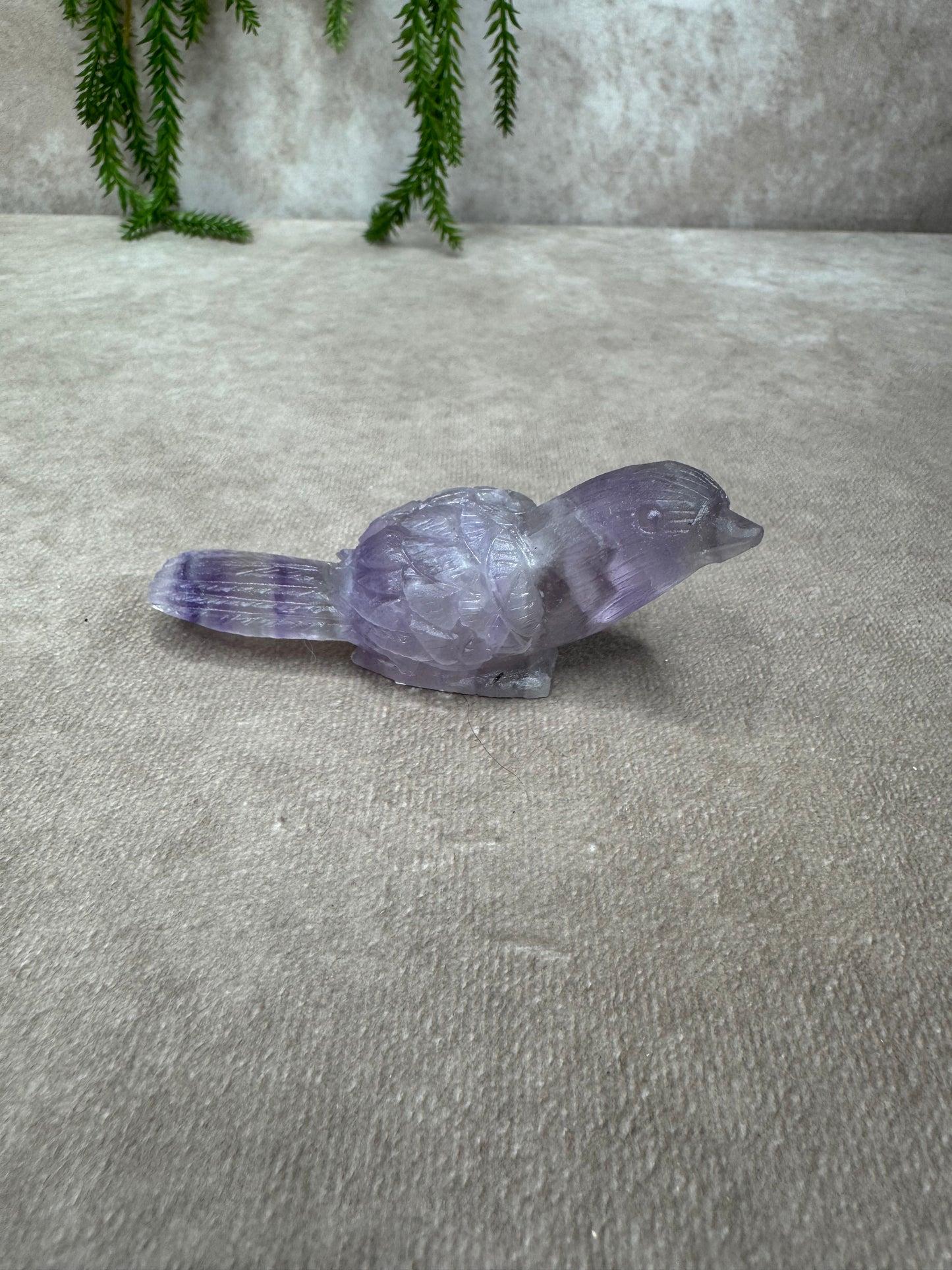 Fluoriet vogel