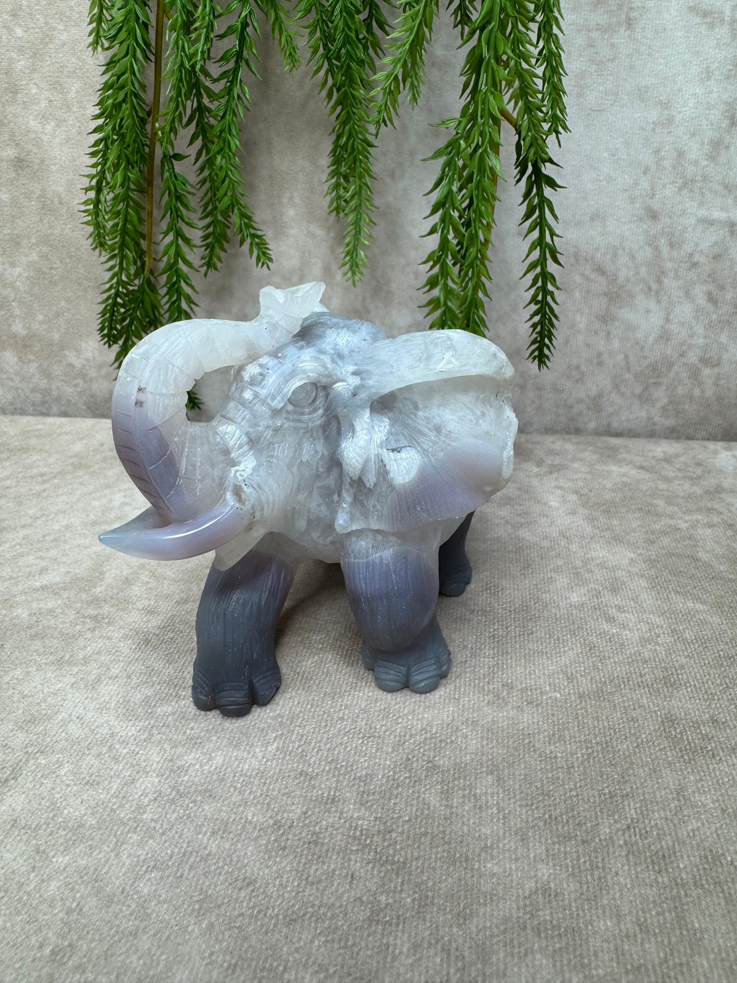 Agaat olifant #1369