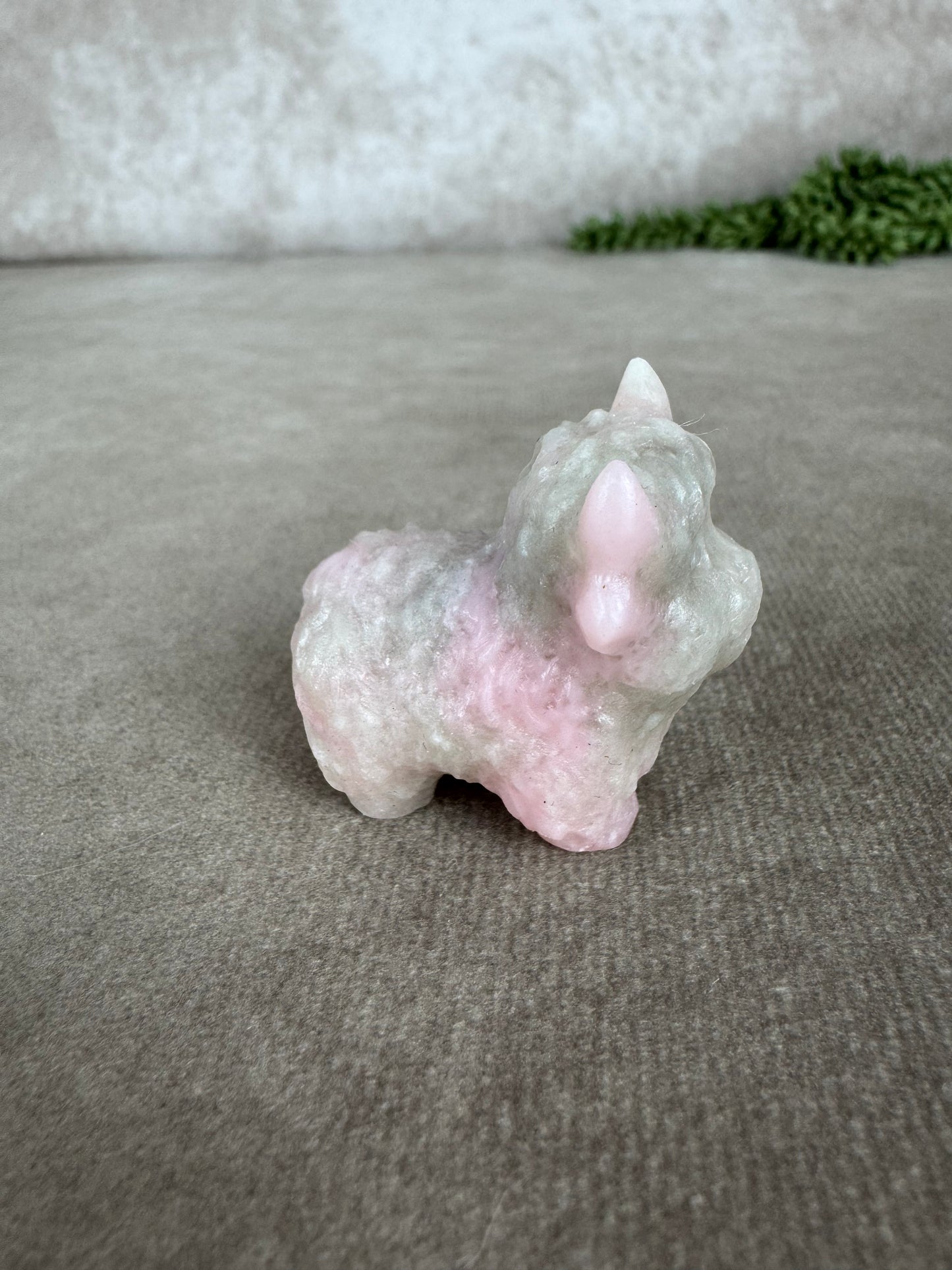 Schotse hooglander Roze opaal