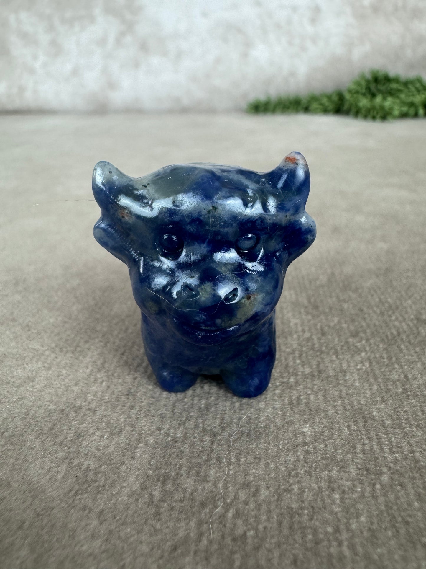 Schotse hooglander Sodaliet