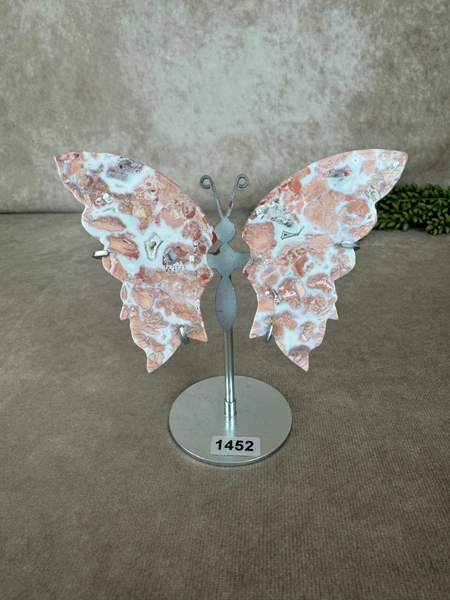 Roze agaat vlinder #1452
