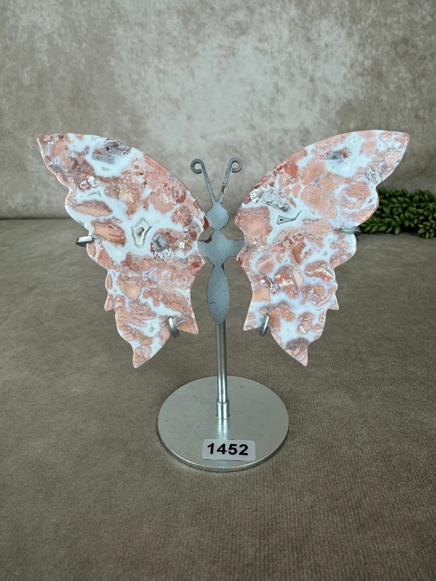 Roze agaat vlinder #1452