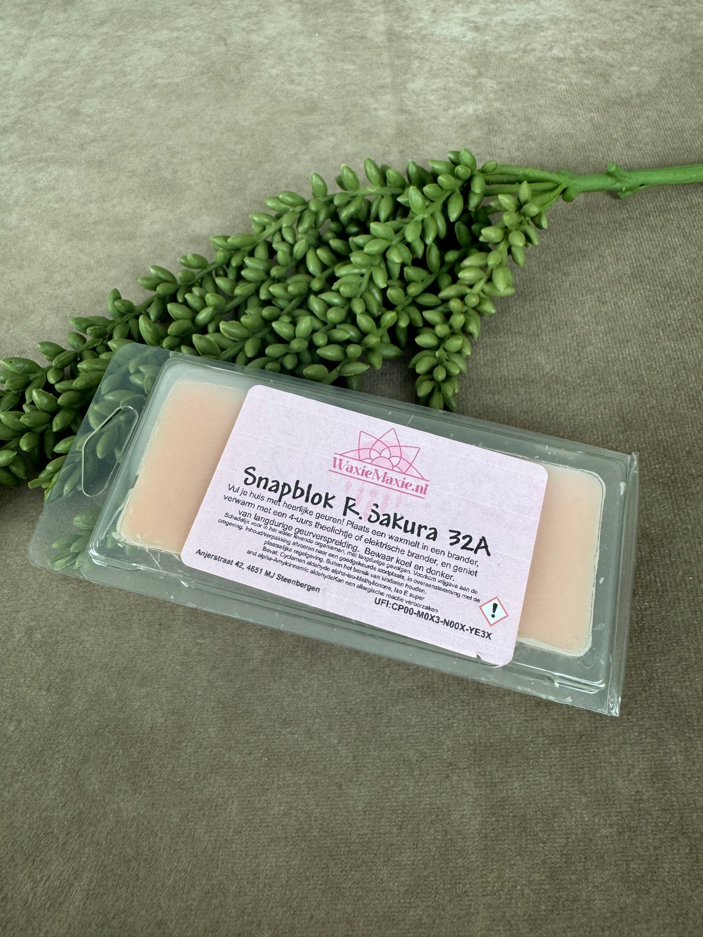 Waxmelts R sakura