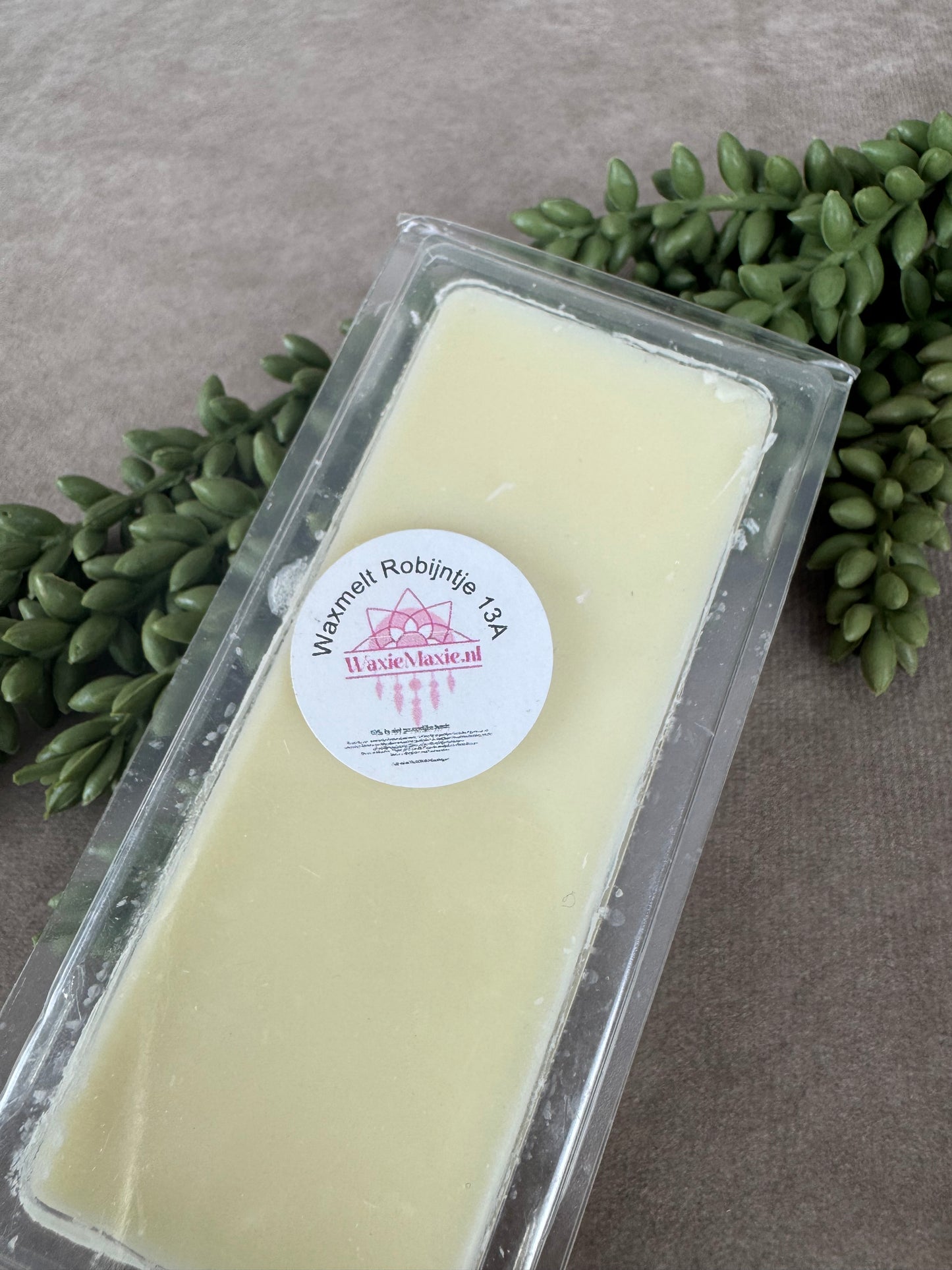Waxmelts Robijntje