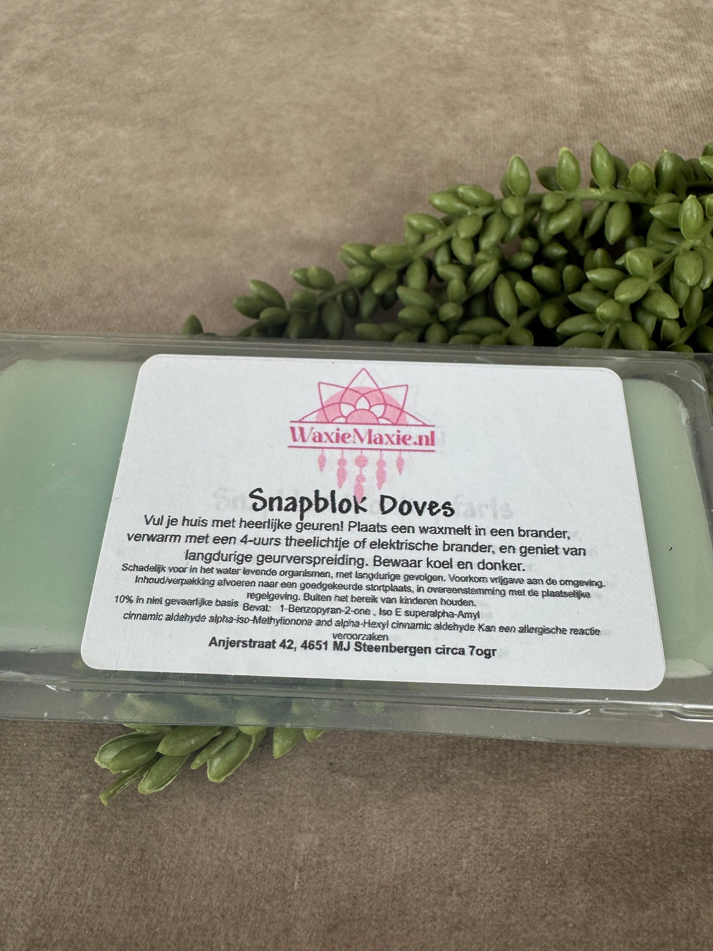 Waxmelts Doves