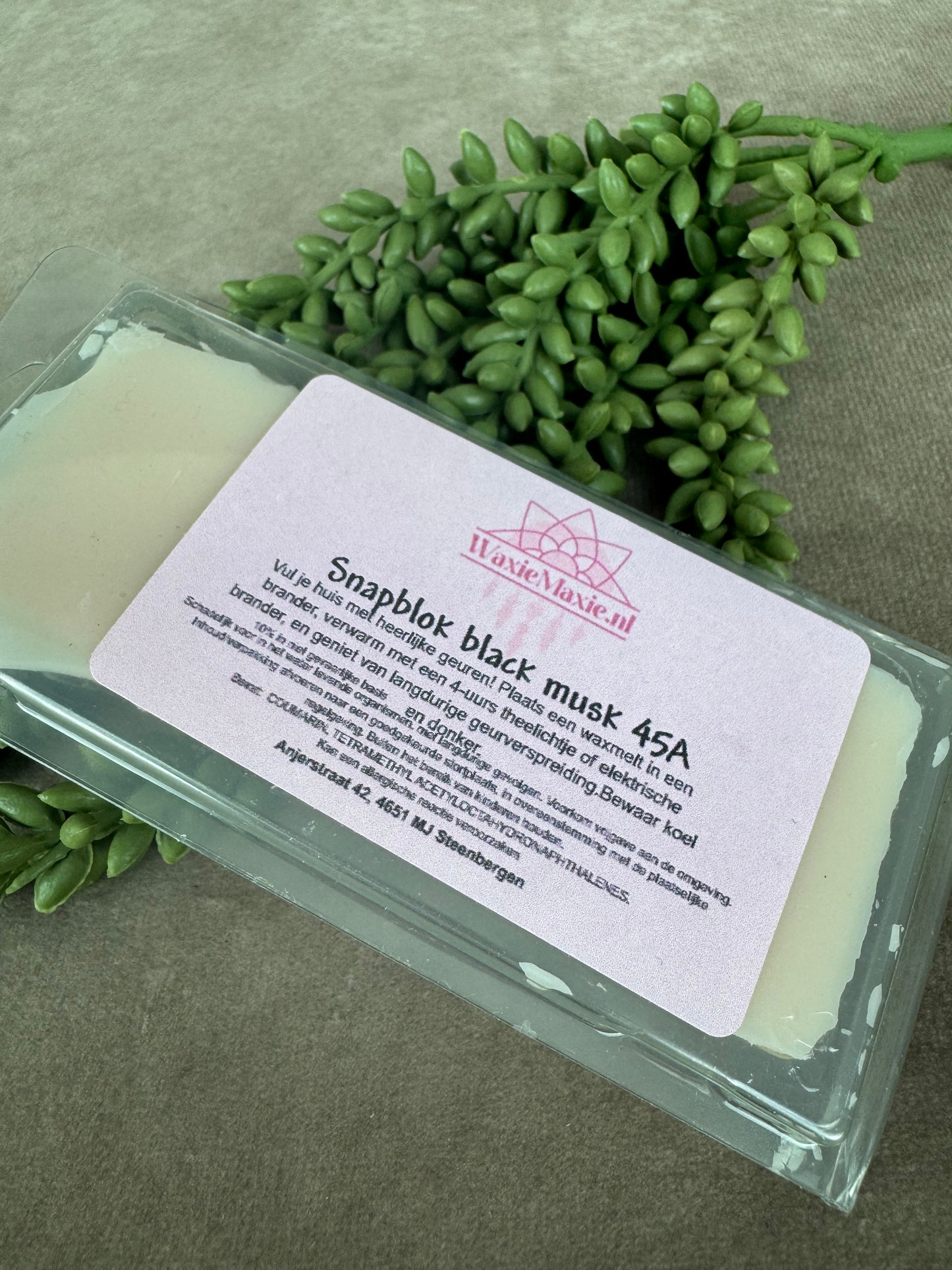 Waxmelts black musk