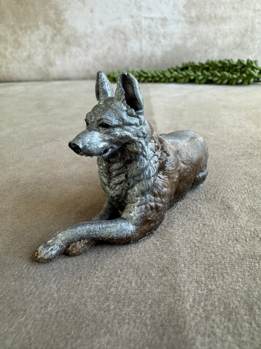 3 honden verschillende kleuren