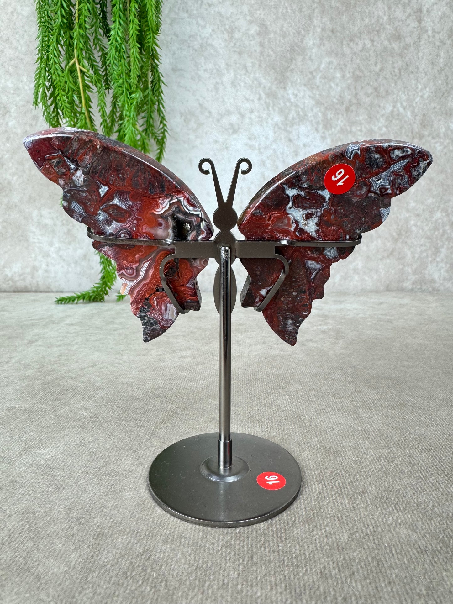 Vlinder Crazy lace agaat #16