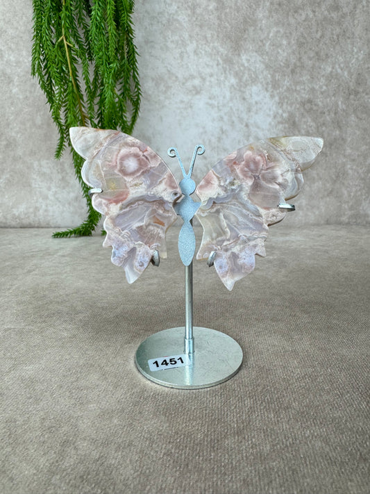 Bloemagaat vlinder #1451