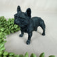 Epoxy honden/katten/wolven