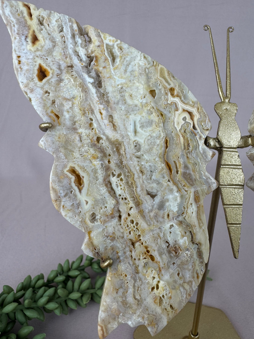 Crazy lace agaat vlinder #0123