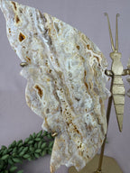 Crazy lace agaat vlinder #0123