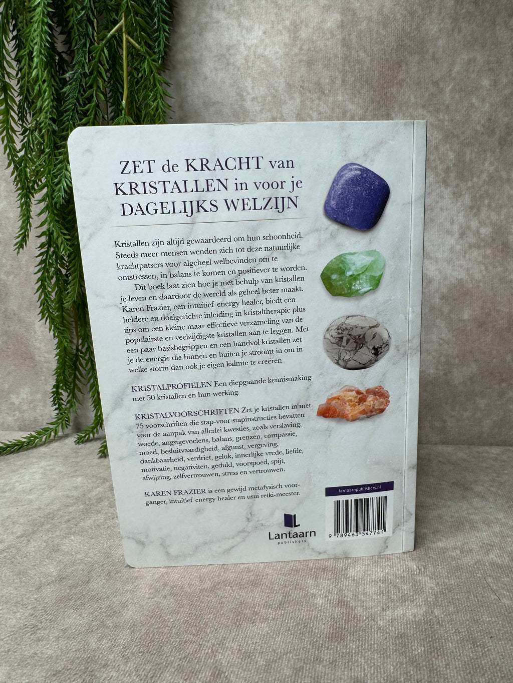 Boek Kristallengids voor beginners