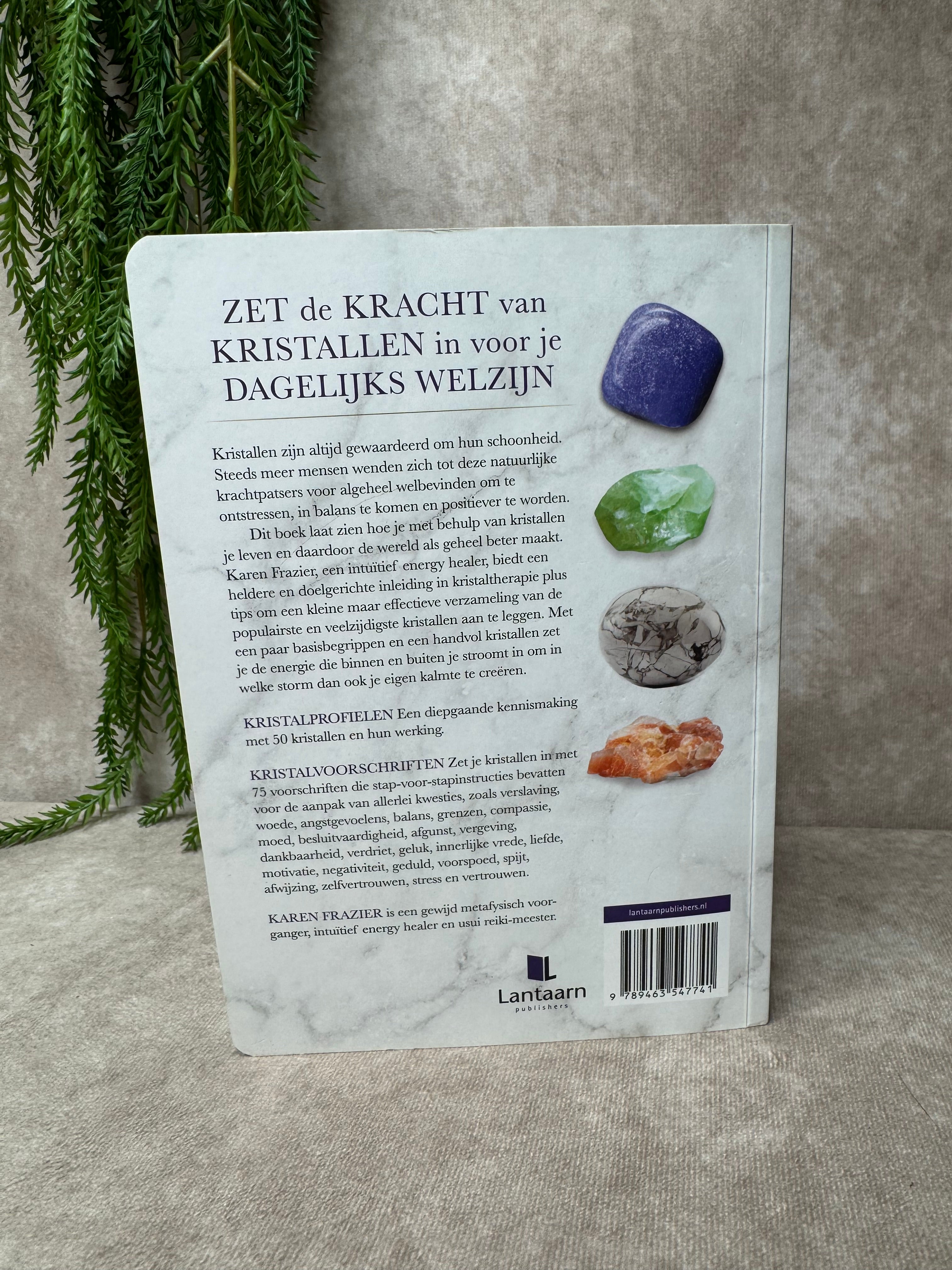 Boek Kristallengids voor beginners