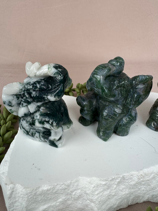 zittende olifant mosagaat