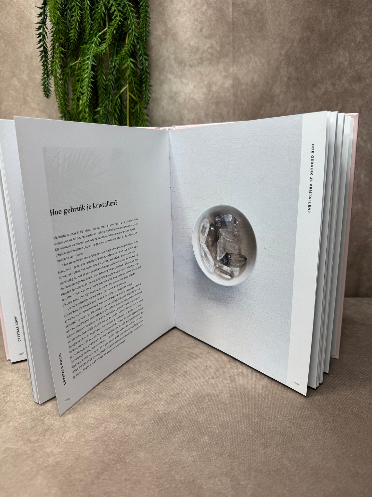 Boek Crystals rock