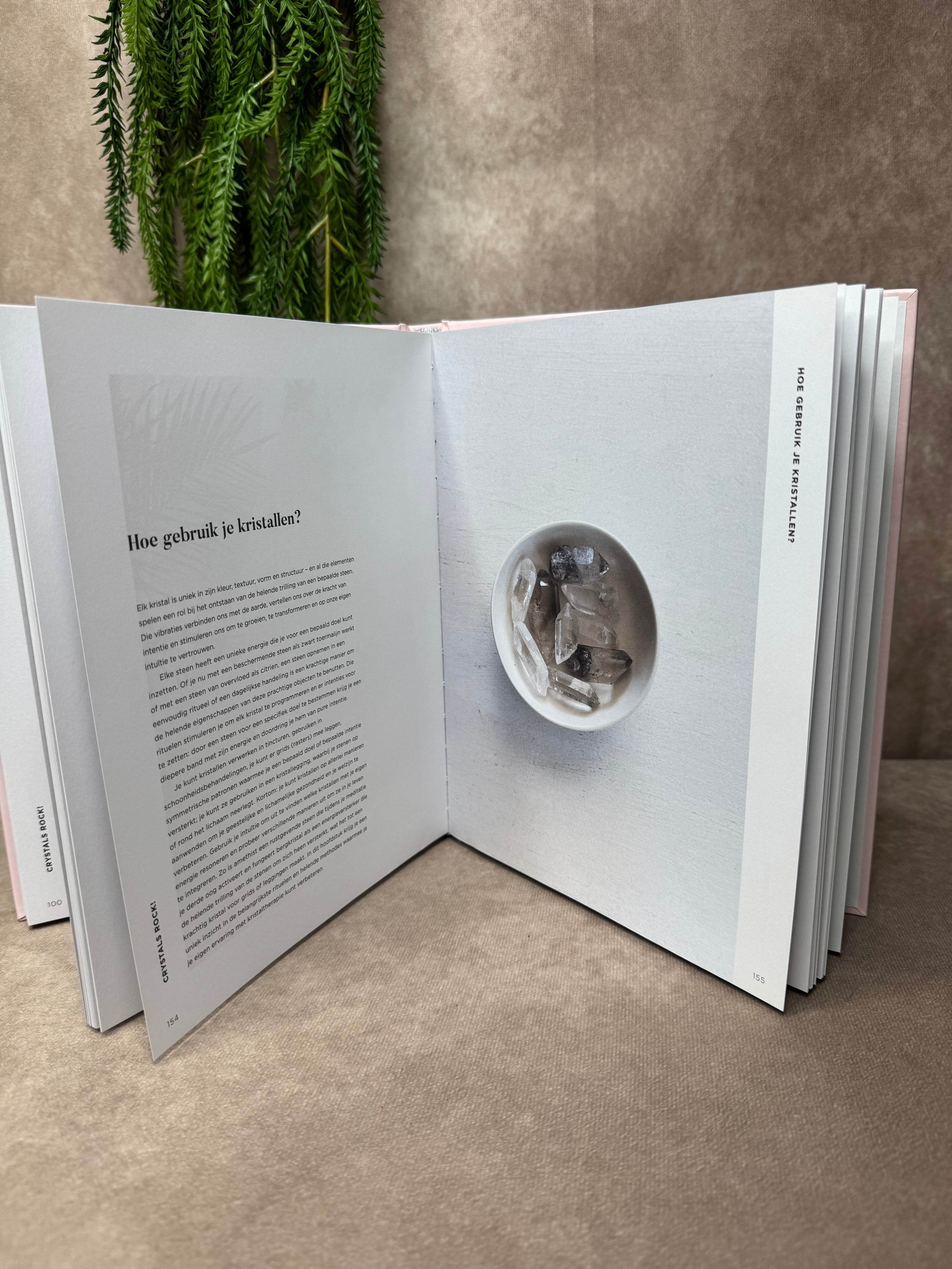 Boek Crystals rock