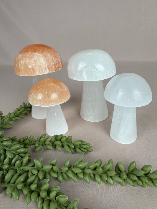 Paddenstoelen Seleniet set