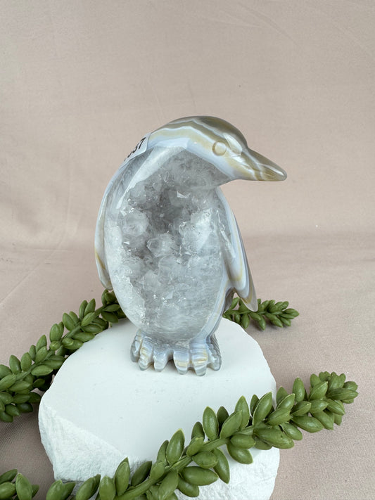 Agaat pinguïn #1337