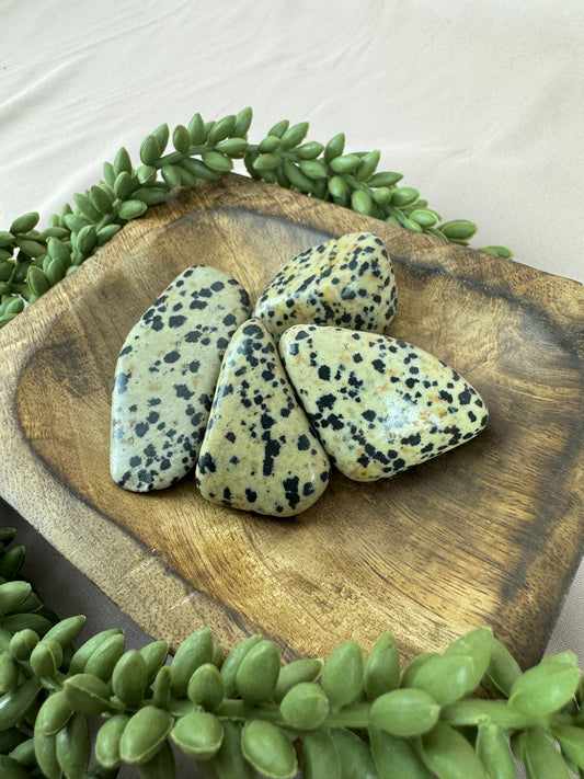 Trommelsteen Dalmatiër Jaspis