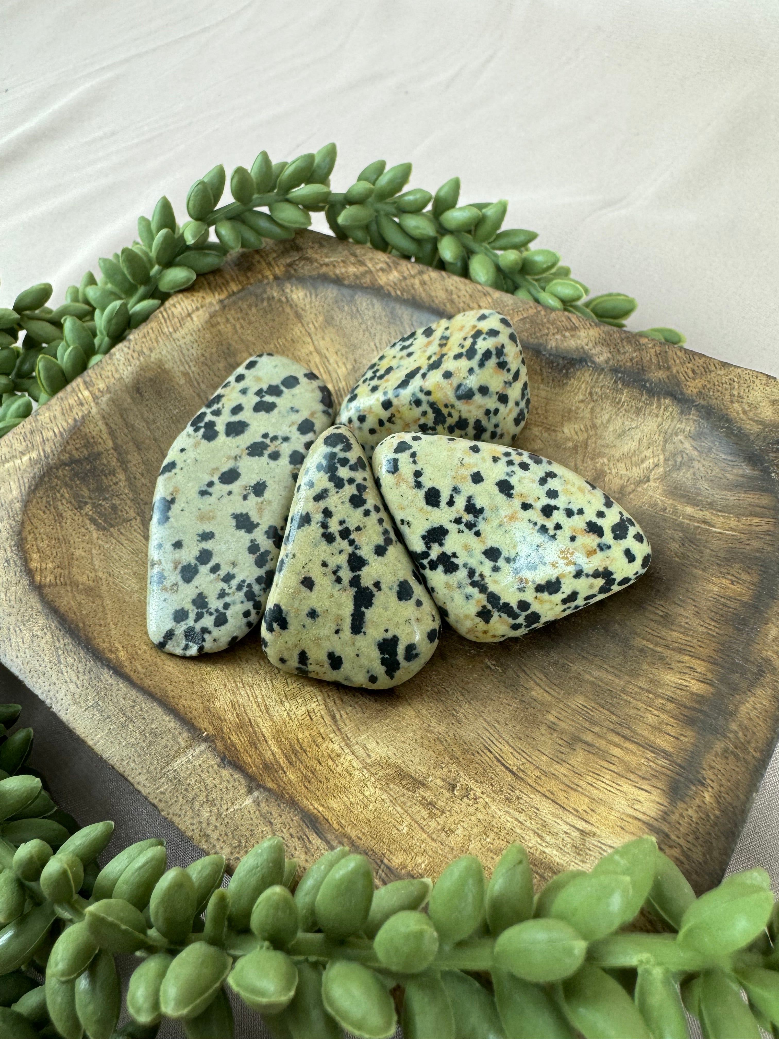 Trommelsteen Dalmatiër Jaspis