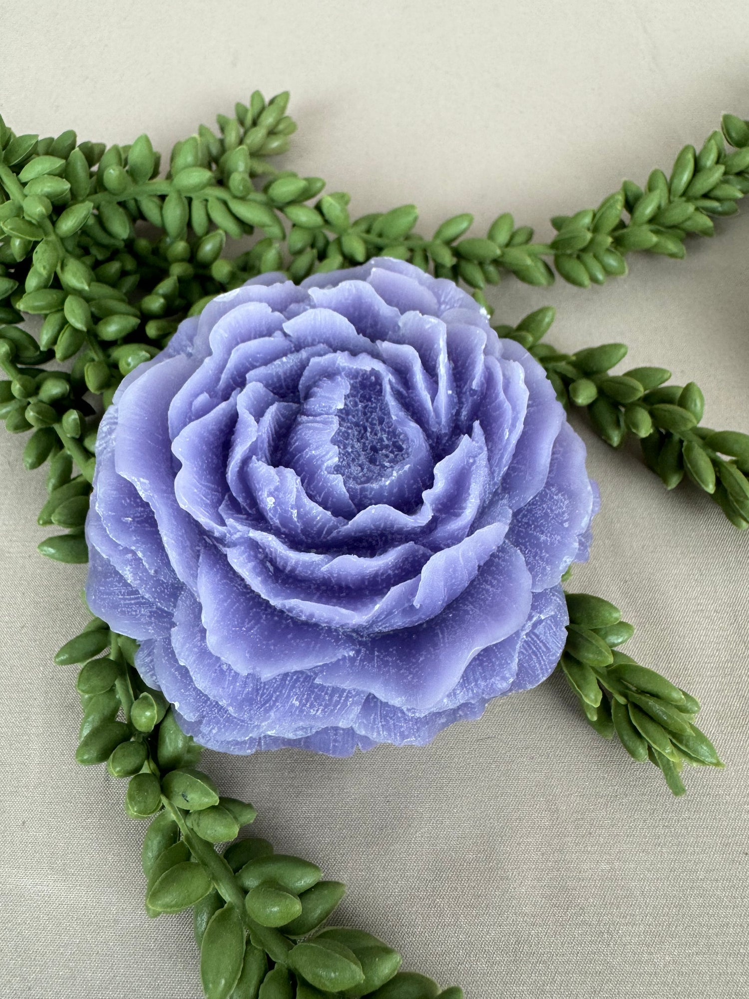 Amberrozen & Waxbars