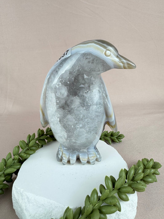Agaat pinguïn #1337