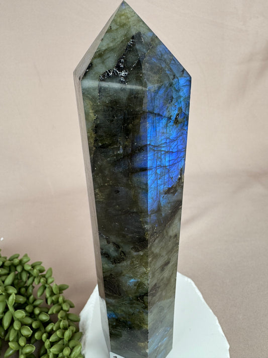 Toren labradoriet #1205