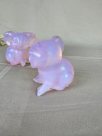 Koala opaliet