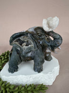 Mos agaat olifant #1341