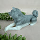 Epoxy honden/katten/wolven