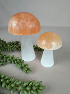 Paddenstoelen Seleniet set