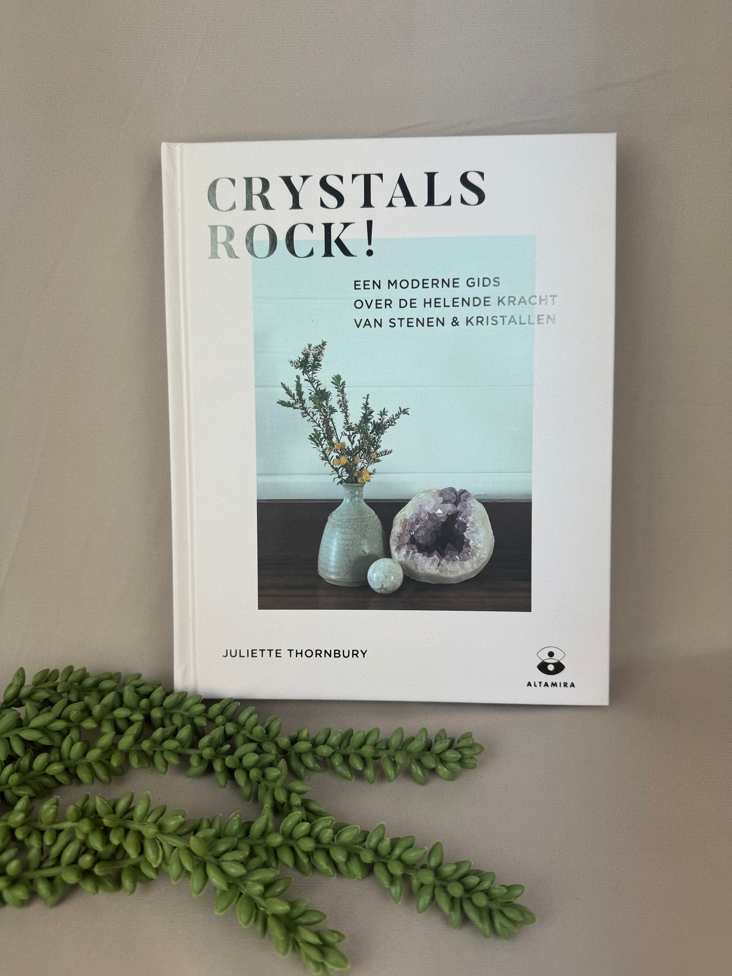 Boek Crystals rock